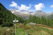 IMG_0041