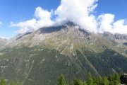 IMG_0049