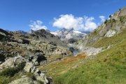 IMG_0106