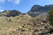 IMG_0204