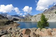 IMG_0207