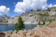 IMG_0208