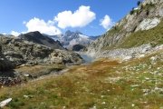 IMG_0212