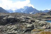 IMG_0221