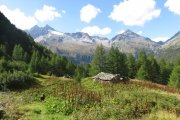 IMG_0242