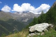 IMG_0246