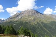 IMG_0247