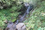 IMG_0250
