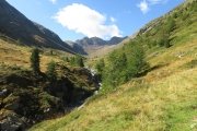 IMG_0011