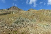 IMG_0081