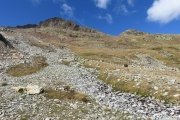 IMG_0087