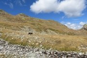 IMG_0089