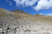 IMG_0101