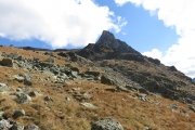 IMG_0126