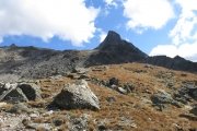 IMG_0143