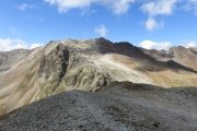 IMG_0201
