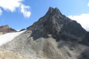 IMG_0237