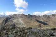 IMG_0310