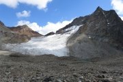 IMG_0314