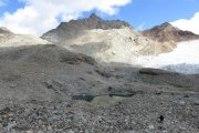IMG_0316