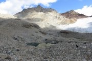 IMG_0318