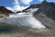 IMG_0333