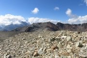 IMG_0337
