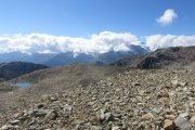 IMG_0339
