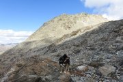 IMG_0372