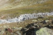 IMG_0425