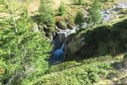IMG_0427