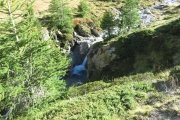 IMG_0429