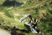 IMG_0431